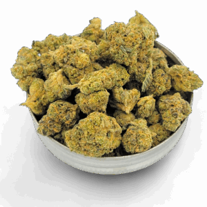 Budget Minis hybrid cannabis flower – compact, well-cured buds with 18–20% THC, earthy aroma, and balanced effects