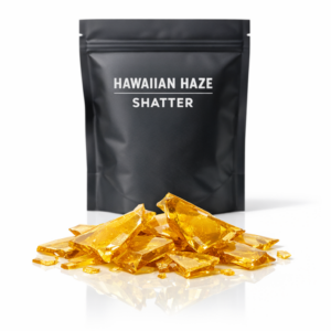 Hawaiian Haze Shatter – golden glass-like cannabis concentrate with tropical aroma