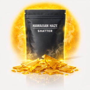 Hawaiian Haze Shatter – golden glass-like cannabis concentrate with tropical aroma