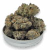 Close-up of Purple Punch flower showing purple hues and frosty trichomes