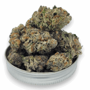 Close-up of Purple Punch flower showing purple hues and frosty trichomes