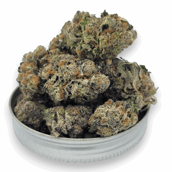 Close-up of Purple Punch flower showing purple hues and frosty trichomes