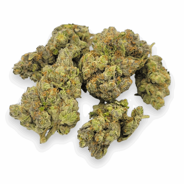 Rockstar Punch - Power House Hybrid - Image 3