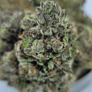 Alternative view of Rockstar Punch - Power House Hybrid