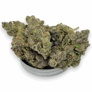 Rockstar Punch strain marijuana flower with grape-spice aroma
