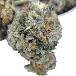 Alternative view of Secret Weapon Strain – Hybrid