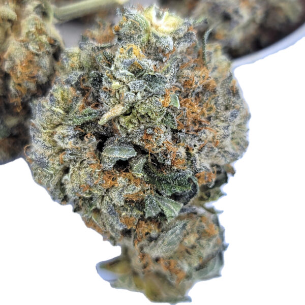 Secret Weapon Strain – Hybrid - Image 2