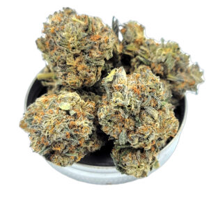 Secret Weapon marijuana strain – frosty hybrid buds with bold aroma