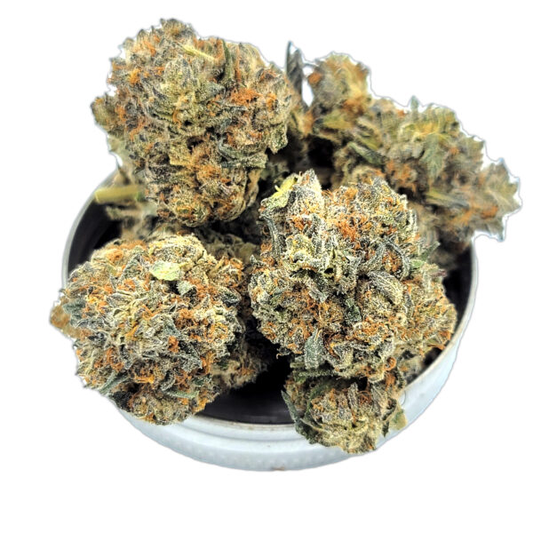 Secret Weapon marijuana strain – frosty hybrid buds with bold aroma