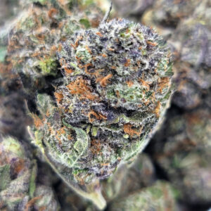 Alternative view of Jealousy - Premium Cannabis Strain - Hybrid