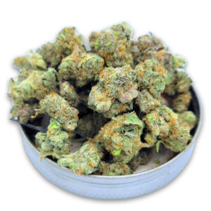 Orange Drank mid‑size buds — sweet citrus and dank gas hybrid with dense, frosty nugs