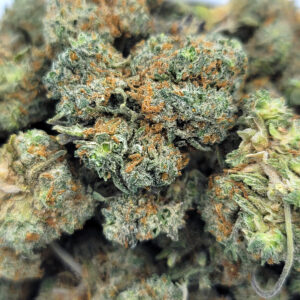 Close-up of LA Confidential flower showing deep green nugs and orange pistils