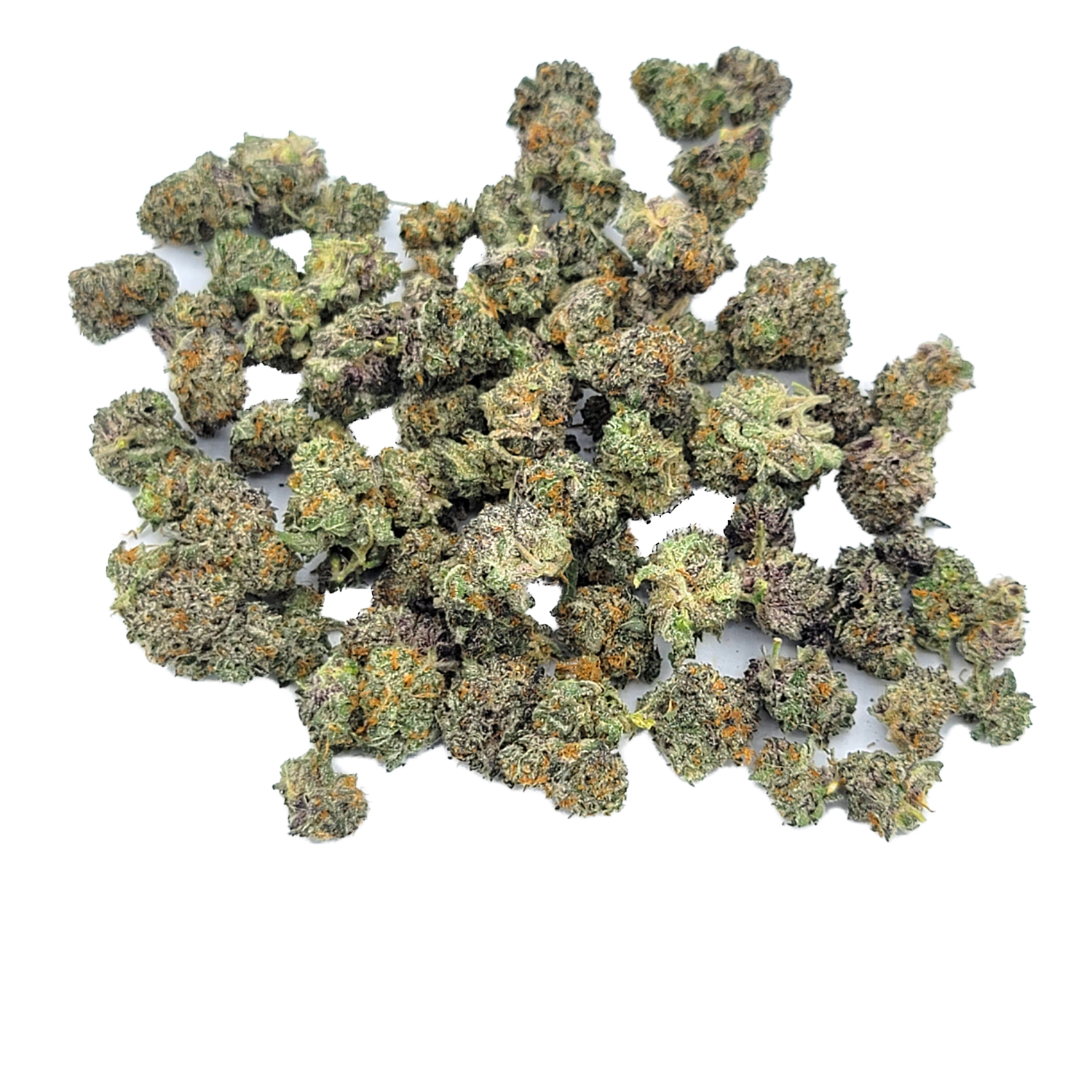 Powdered Donuts hybrid buds resembling sugar-dusted donuts with bright orange pistils