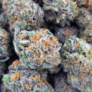 Macro shot of Scratch & Snif minis highlighting crystal-covered hybrid buds