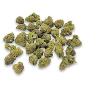 Bubble Mintz cannabis flower showing purple hues and orange hairs