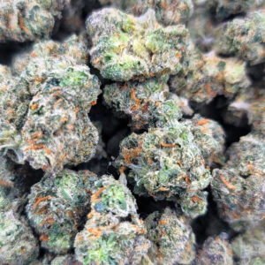 Gabagool cannabis strain nug shot