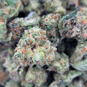 Pie in the Sky buds close-up showing frosty trichomes