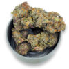 LSO First Class Gas 14g Can Canada - Organic Purple Quad Flower - Magic's Corner