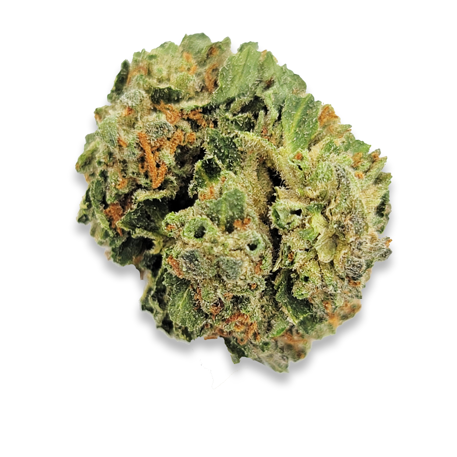 Northern Lights #2 Indica | Budget AA - Image 2