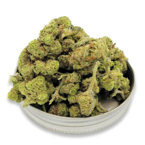 Double Kush Indica AA Flower Buds – Magic’s Corner