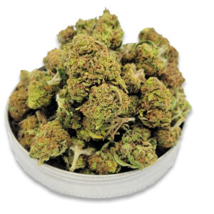 Weight Buster #1 Indica AA Flower Buds – Magic’s Corner