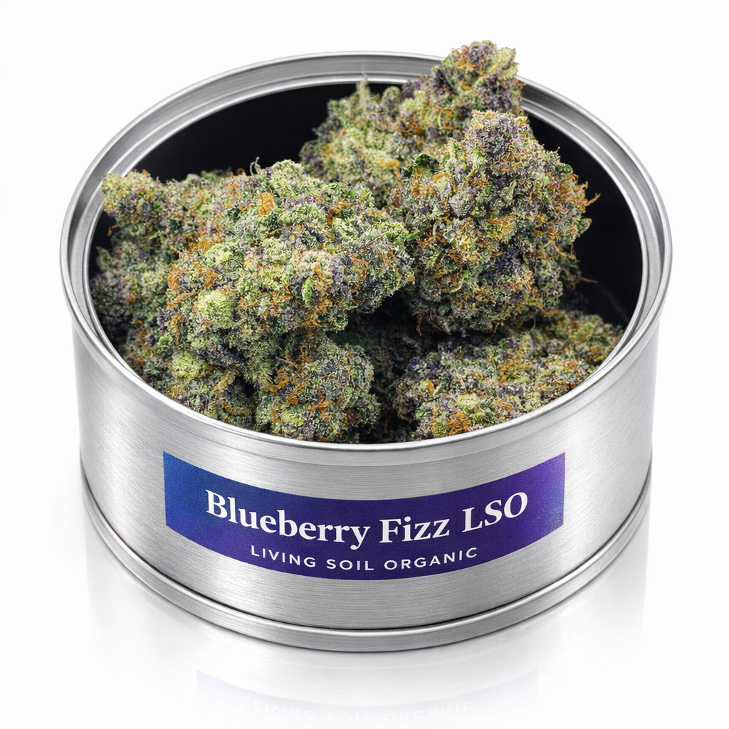 Blueberry Fizz LSO – 14g Can - Living Soil Hybrid | 25–28% THC - Image 2