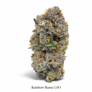 Rainbow Runtz LSO AAAA craft cannabis buds with purple hues and heavy frost