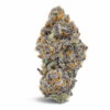 Glitter Bomb LSO AAAA craft cannabis purple buds with heavy trichome frosting