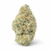 Grey Goose AAA hybrid cannabis flower with frosty trichomes and orange hairs