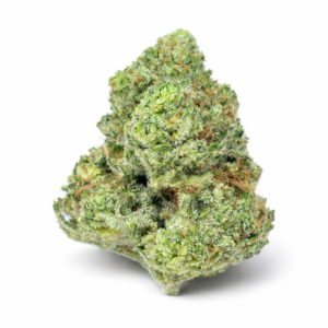 Violator AAA high-grade indica flower with dense trichome-covered buds