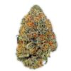 AMG Strain