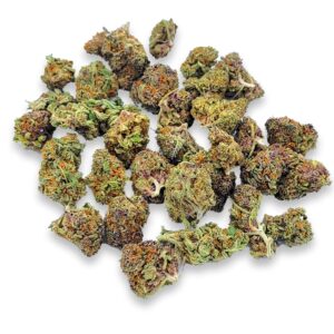 Blueberry pie1