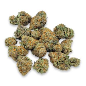 Gg5 1
