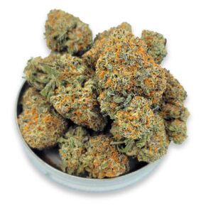 Gg5 3