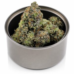LSO Lindsey OG1