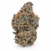 Pleasure LSO Strain AAAA 14g can living soil organic purple buds frosty craft flower