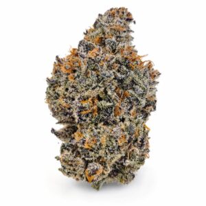 Pleasure LSO Strain AAAA 14g can living soil organic purple buds frosty craft flower