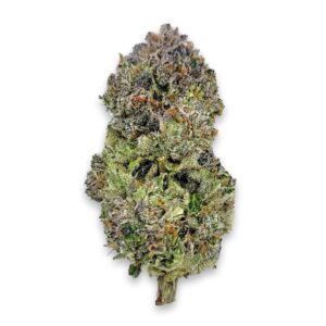 Roji OG LSO Strain AAAA 14g can living soil organic frosty OG buds craft flower