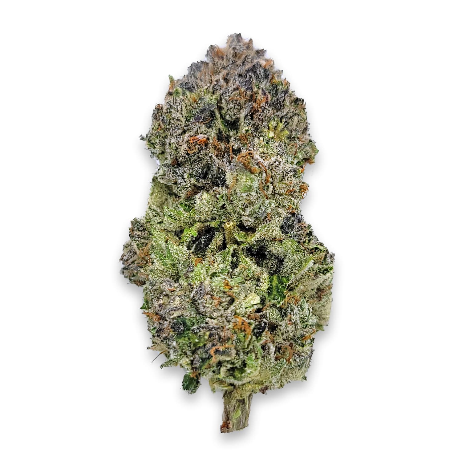 Roji OG LSO Strain AAAA 14g can living soil organic frosty OG buds craft flower