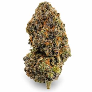 Money Maker Strain AAA dense purple indica buds frosty trichomes orange hairs