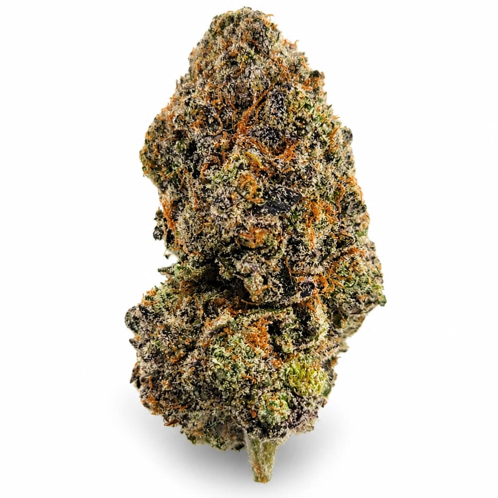 Money Maker Strain AAA dense purple indica buds frosty trichomes orange hairs