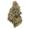 Permanent Marker LSO Strain AAAA 14g can living soil organic frosty purple buds craft flower