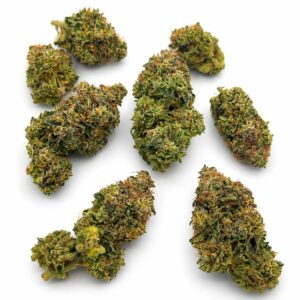 Purple Kush LSO quads cannabis buds arranged on white showing purple hues and frosty trichomes