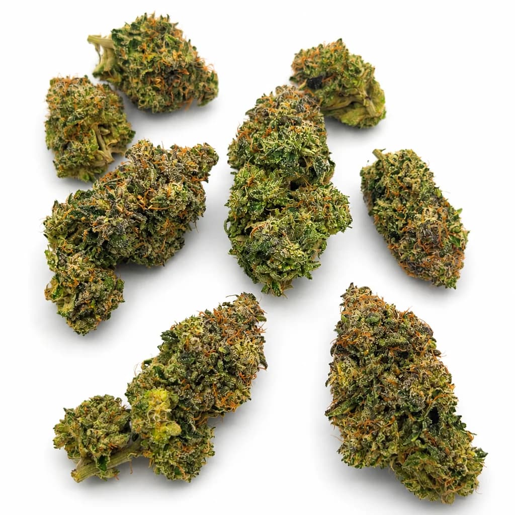 Purple Kush LSO quads cannabis buds arranged on white showing purple hues and frosty trichomes