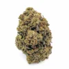 Kush Mint AAA single dense frosty bud with amber pistils on white background