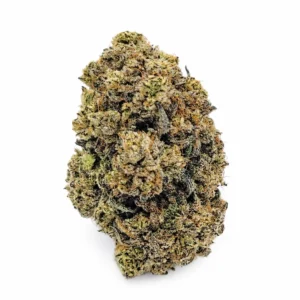 Kush Mint AAA single dense frosty bud with amber pistils on white background