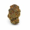 Miracle Alien Cookies MAC single dense frosty bud with amber pistils on white background