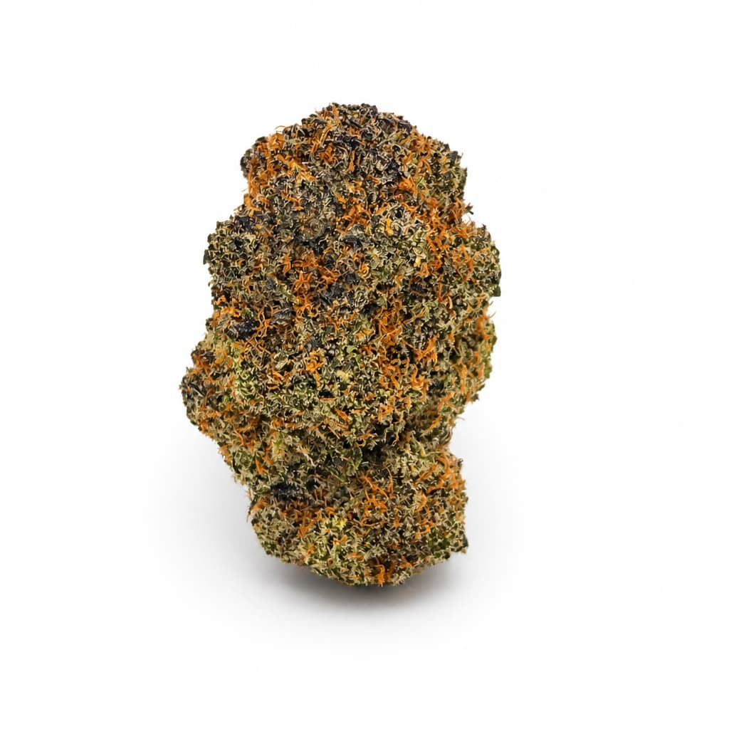 Miracle Alien Cookies MAC single dense frosty bud with amber pistils on white background