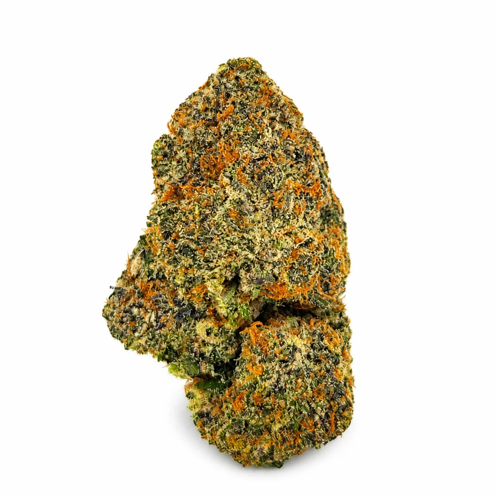 Candy Land strain single dense frosty cannabis bud with amber pistils on white background