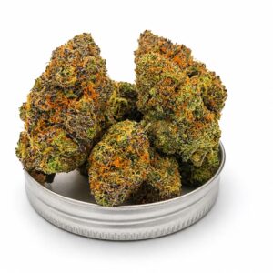 Purple Wiz cannabis buds packed in metal storage tin showing heavy purple trichome coverage